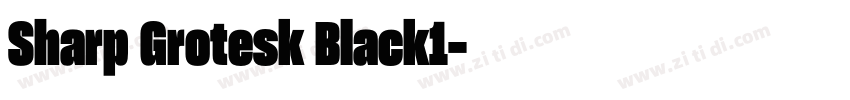 Sharp Grotesk Black1字体转换